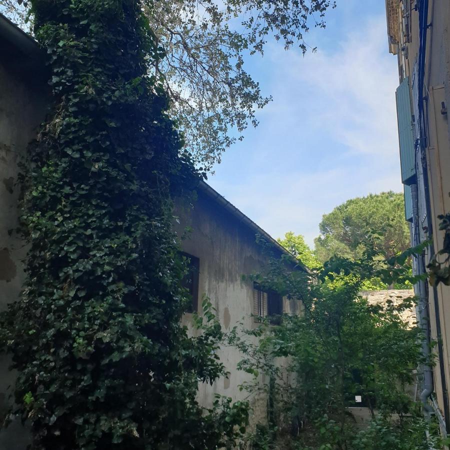 Appartement Intra Muros 8 Personnes Climatise Wifi Stationnement Facile أفينيون المظهر الخارجي الصورة